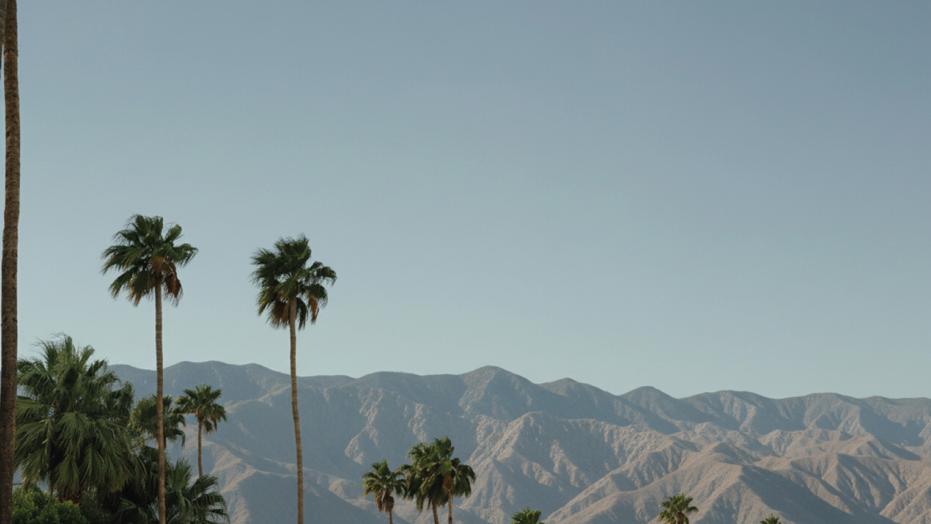 REGGE STUDIO FONDO Inicio 2 1